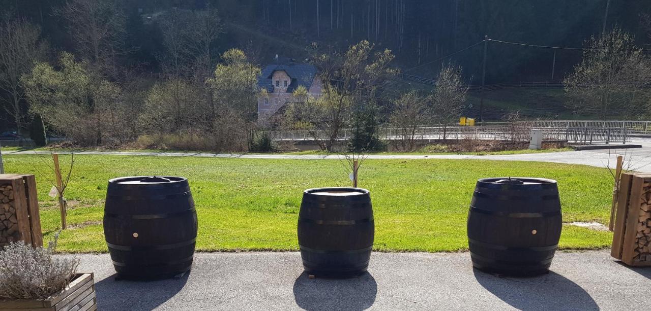 MonichwaldFeriendomizil Wetzelbergerアパートメント エクステリア 写真